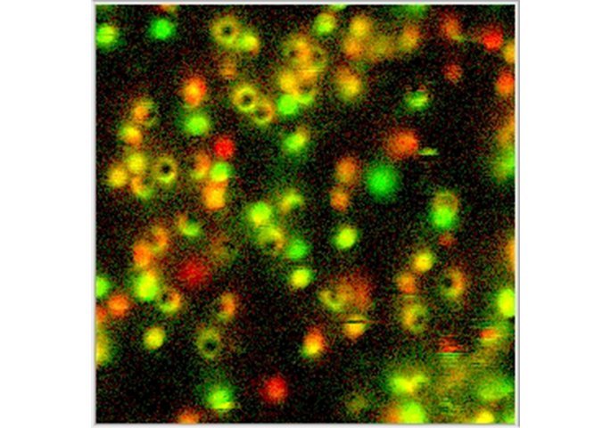 Niek van Hulst - Molecular Nanophotonics | Group Home | ICFO