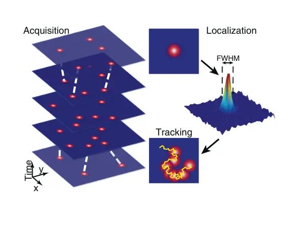 Development of quantitative, high spatiotemporal resolution imaging ...
